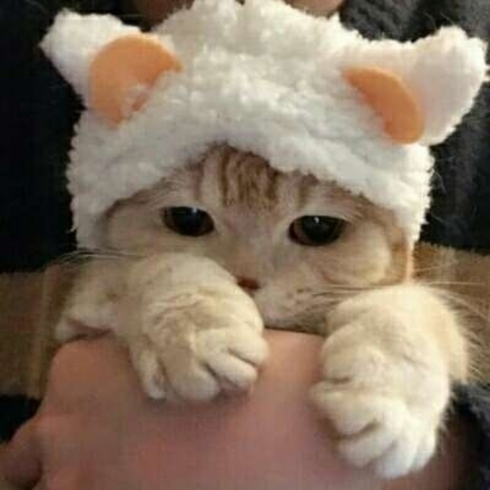 Meet your Posher, Randal